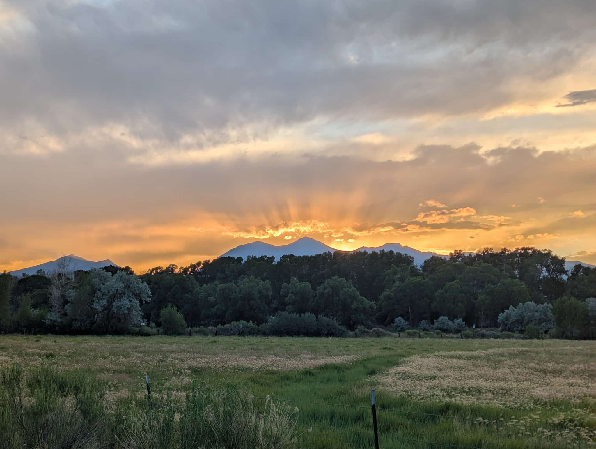 Loyal Duke's Dog Park - Salida, CO