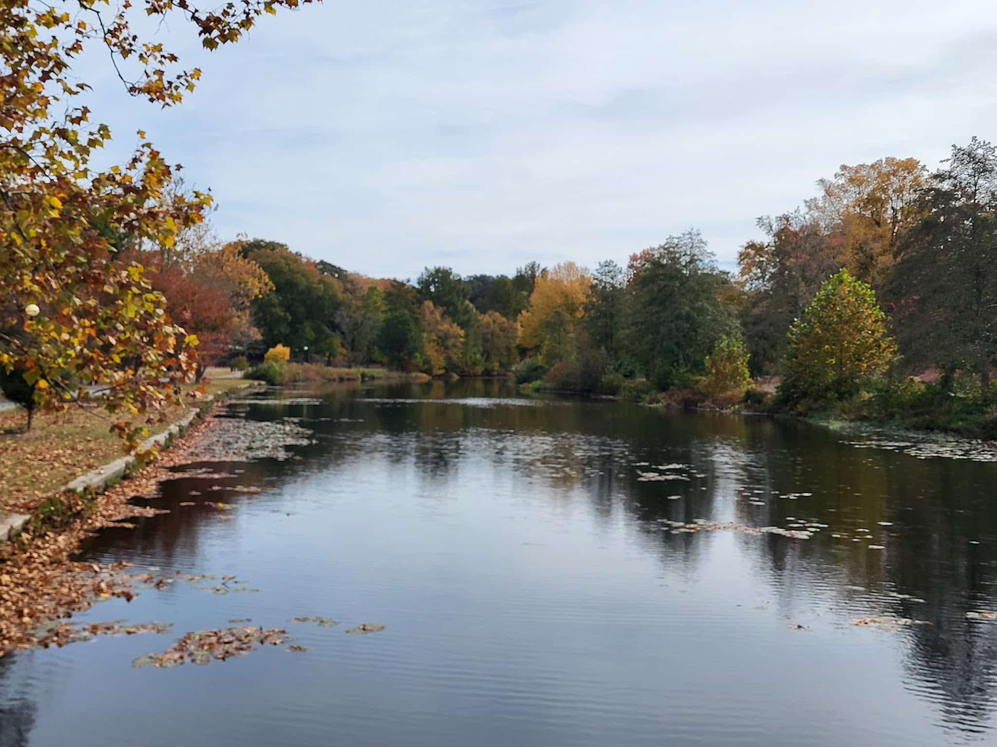 Salisbury City Park - Salisbury, MD