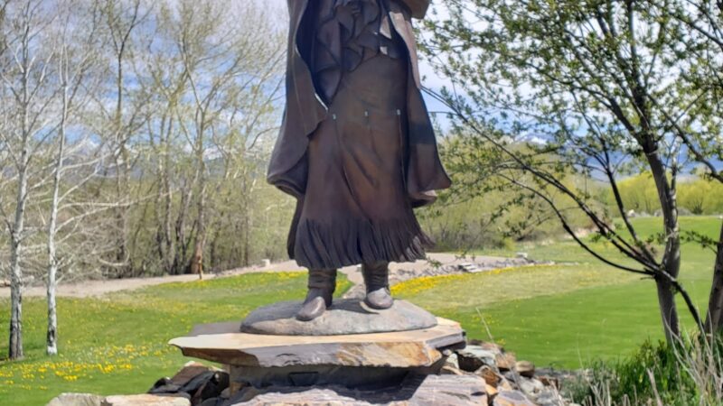 Seaman Dog Park - Salmon, ID