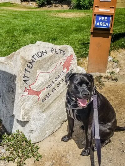 Seaman Dog Park - Salmon, ID