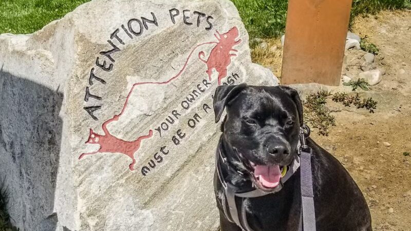 Seaman Dog Park - Salmon, ID