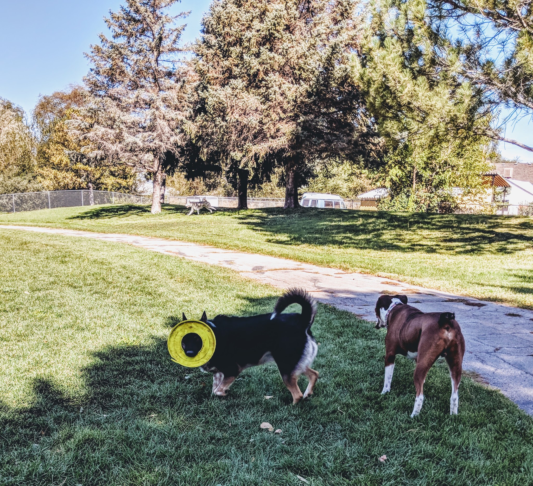 Cottonwood Dog Park - Salt Lake City, UT