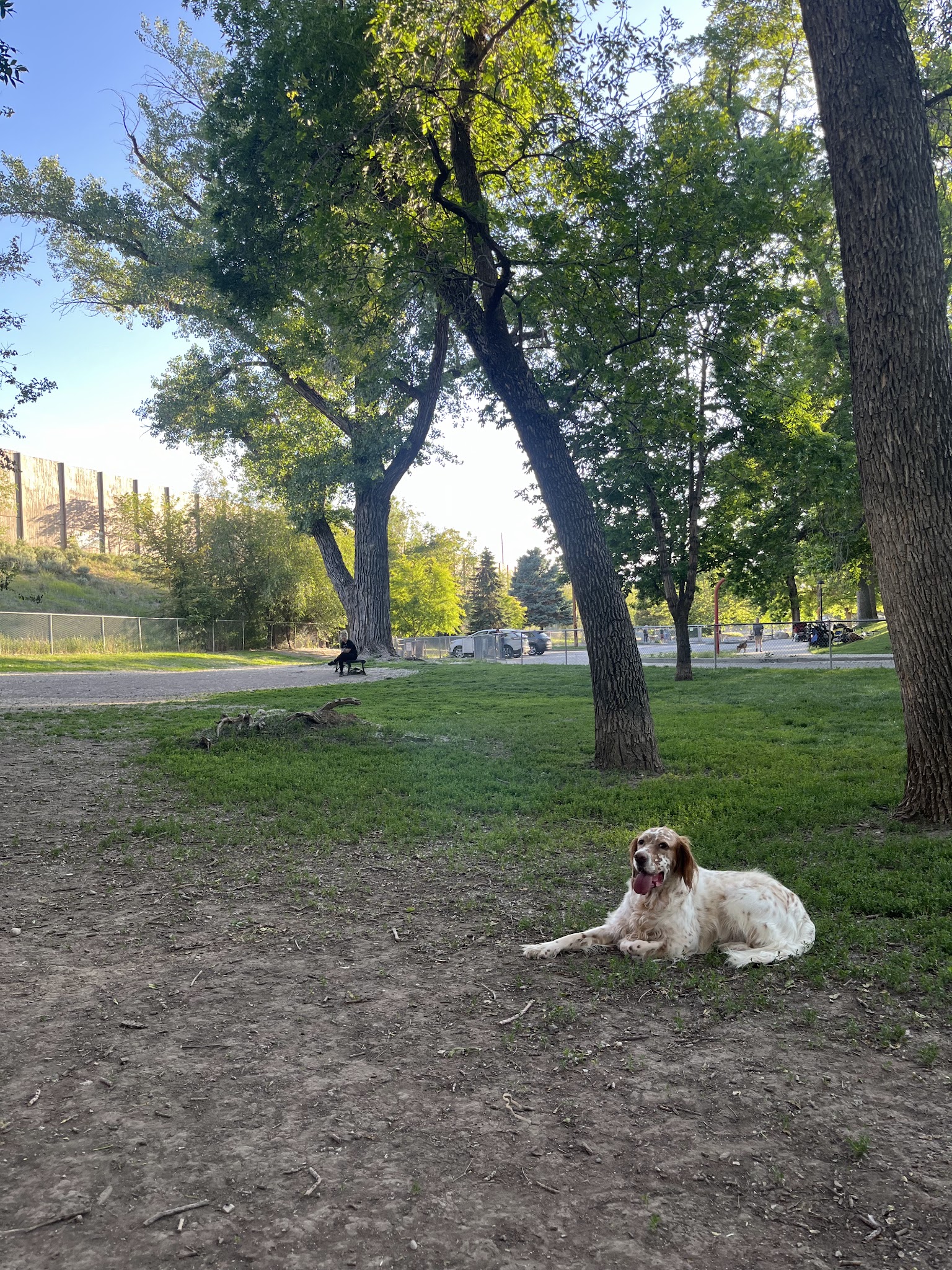Fairmont dog park - Salt Lake City, UT