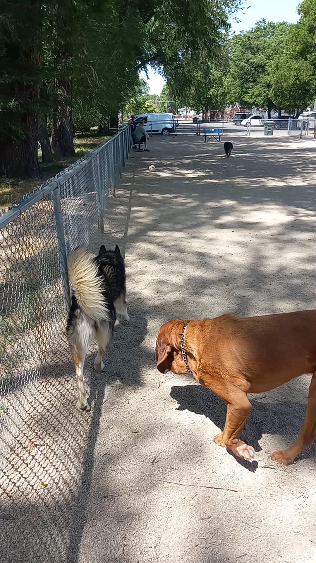 Herman Franks Dog Park - Salt Lake City, UT