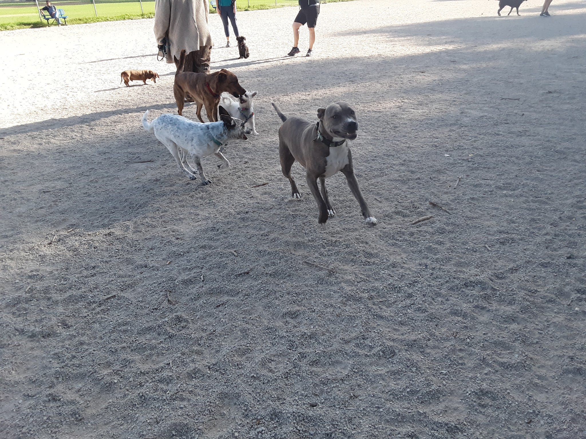 Herman Franks Dog Park - Salt Lake City, UT