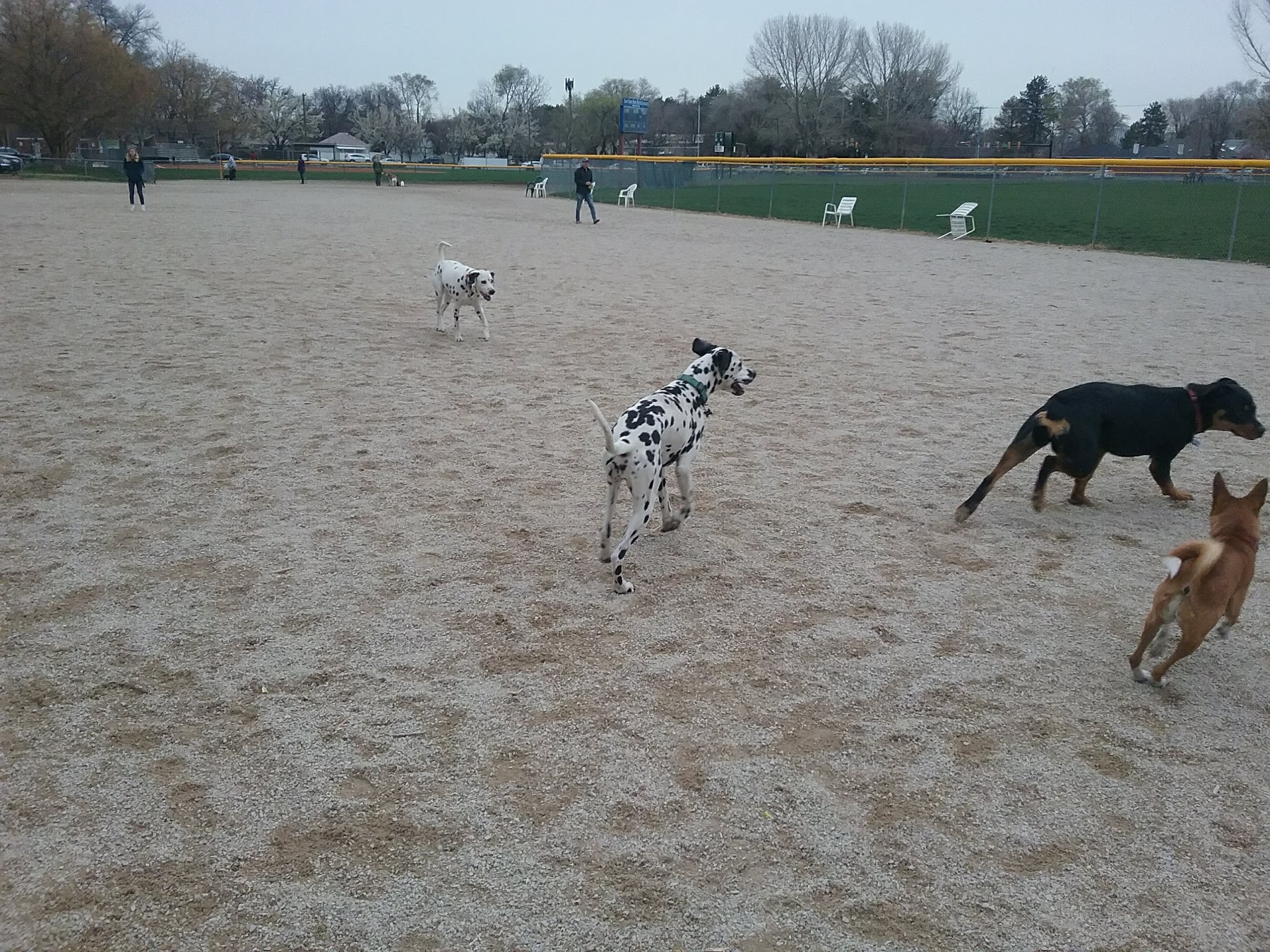Herman Franks Dog Park - Salt Lake City, UT