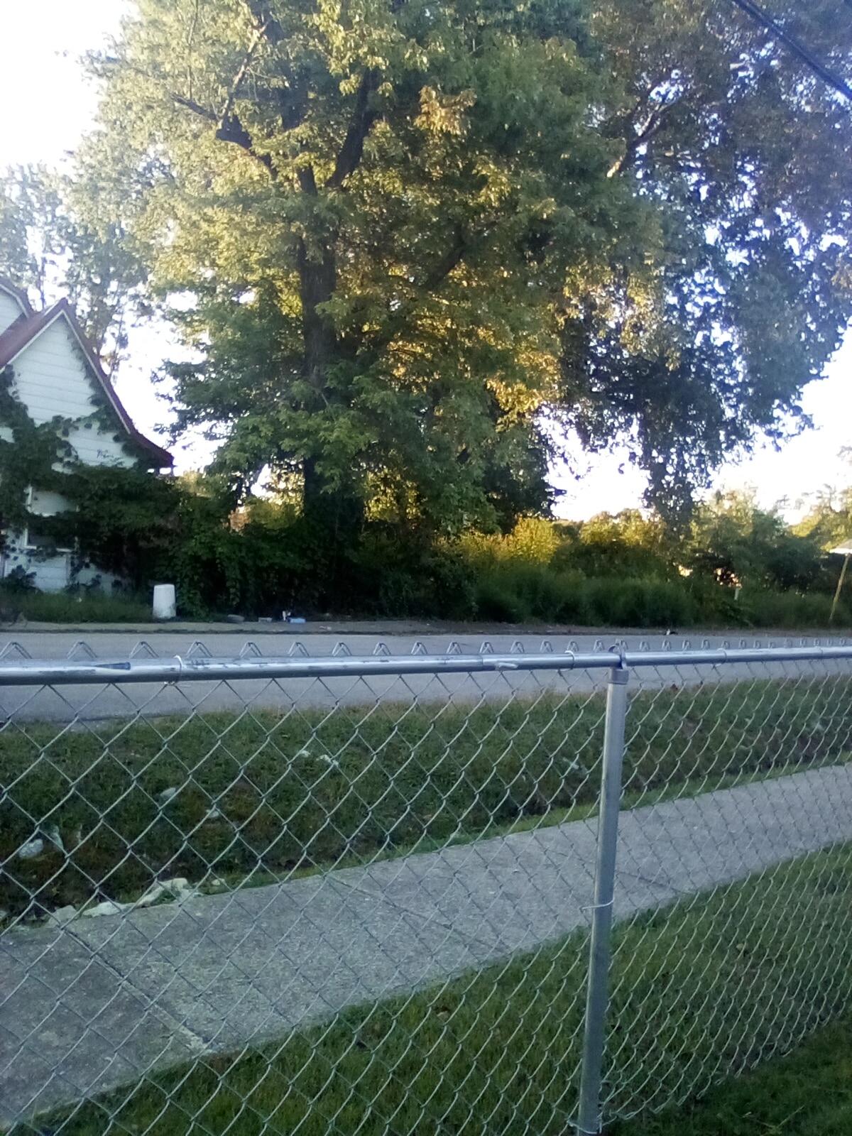 Salt Lick Park - Salt Lick, KY