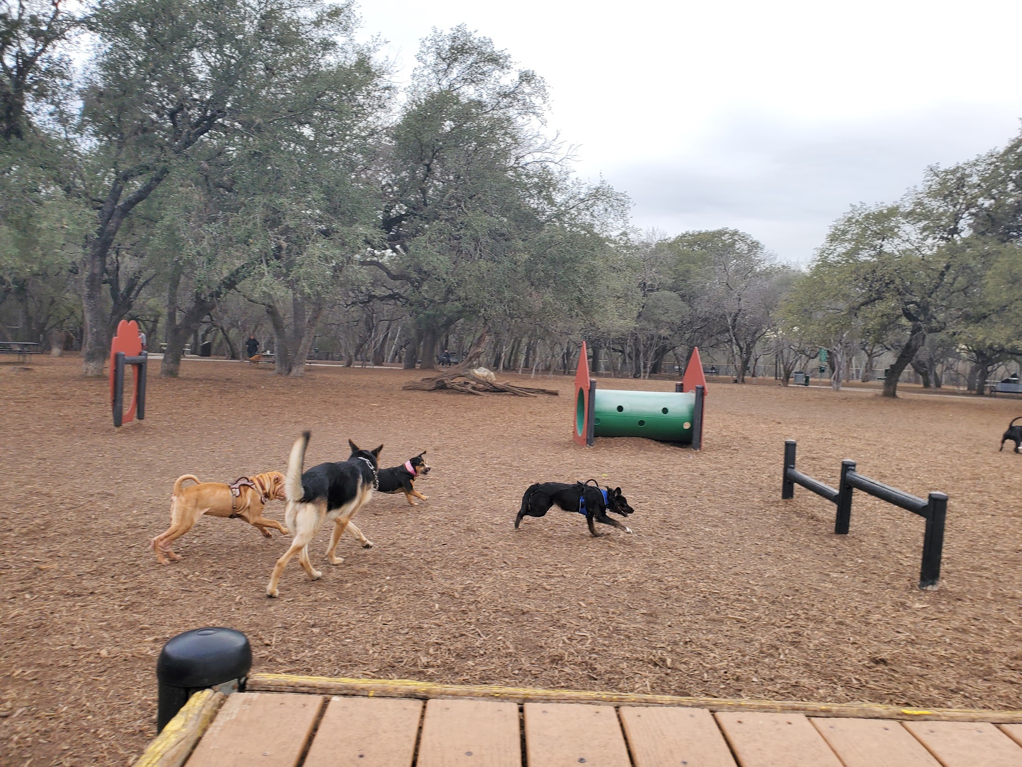 McAllister Dog Park - San Antonio, TX