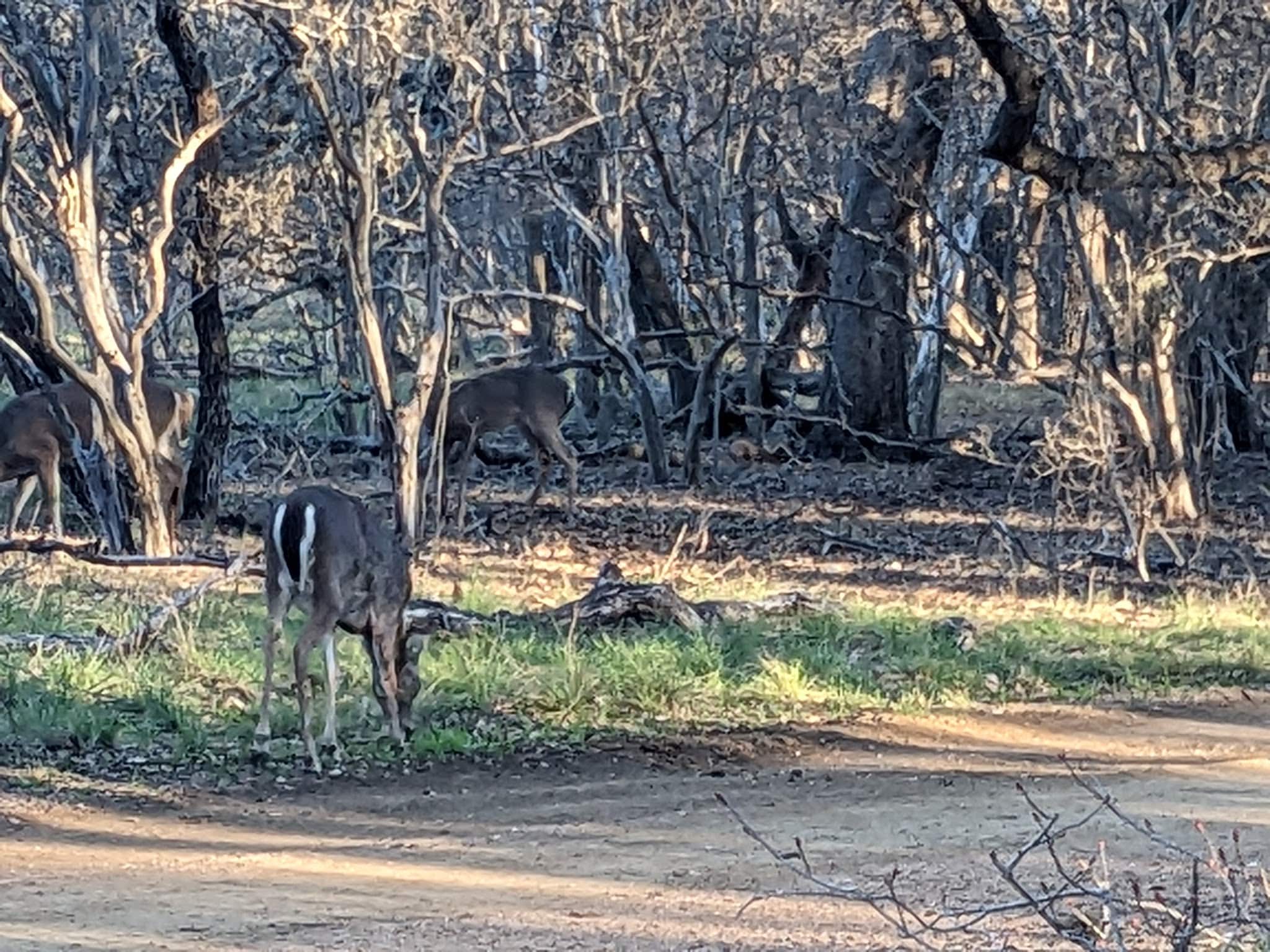 Phil Hardberger Park - San Antonio, TX
