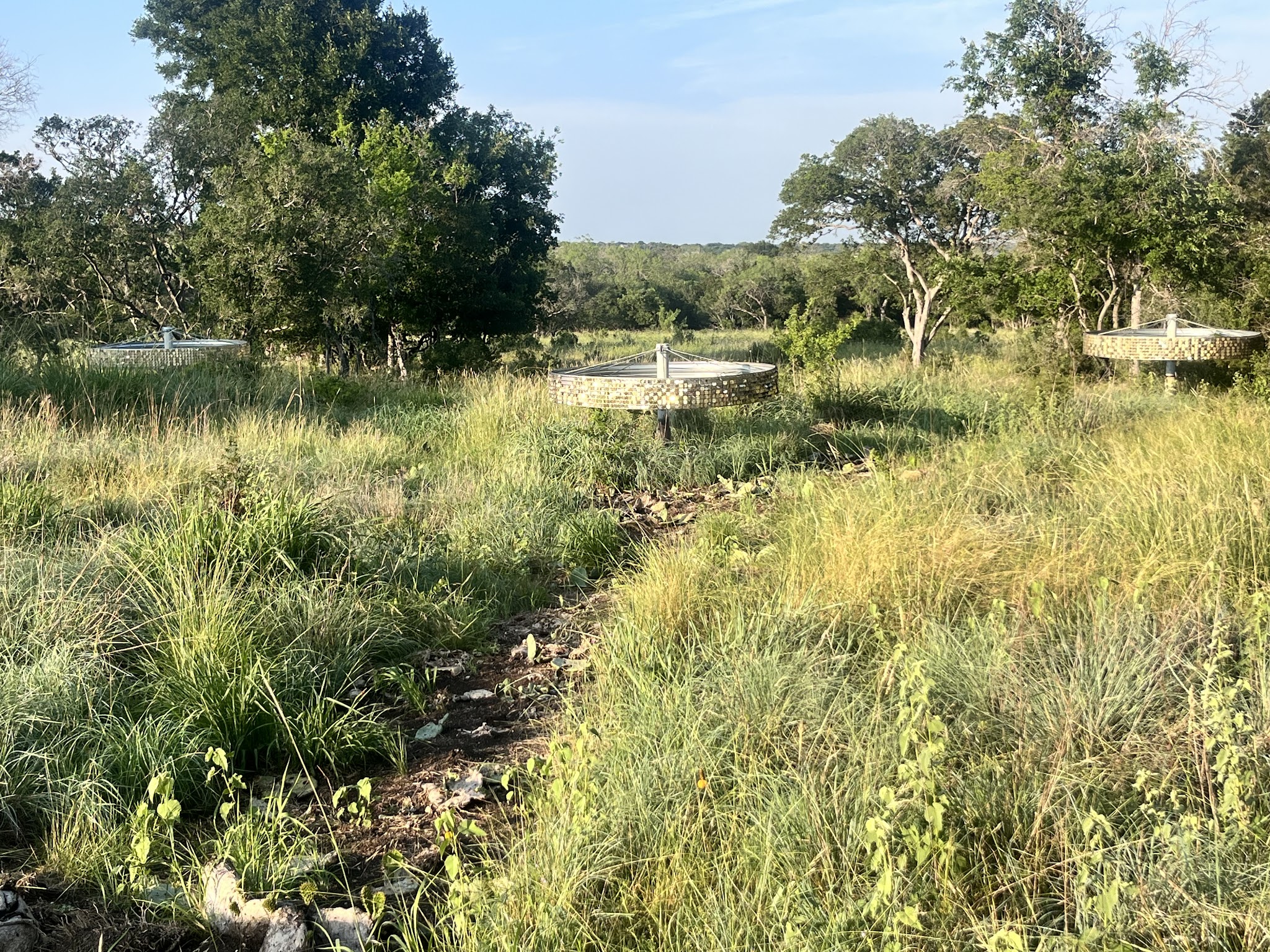 Phil Hardberger Park - San Antonio, TX