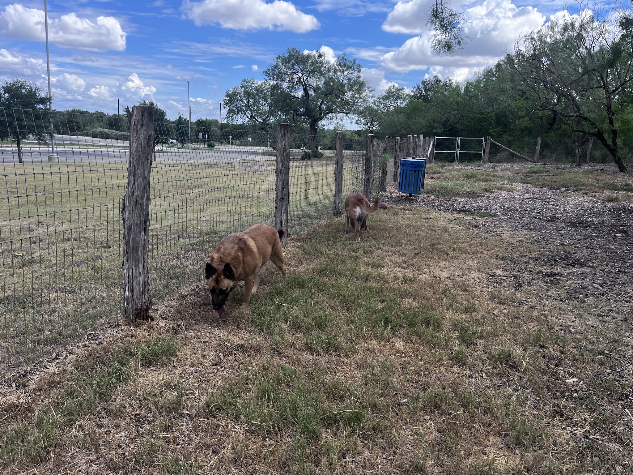 Southside Lions Dog Park - San Antonio, TX