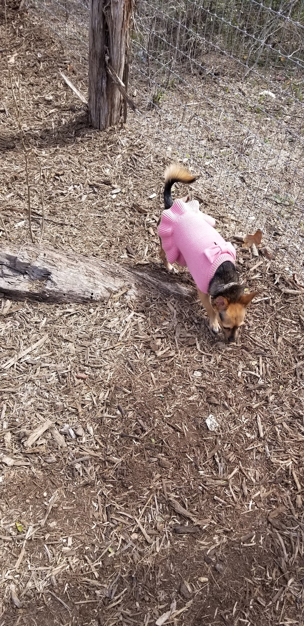 Southside Lions Dog Park - San Antonio, TX