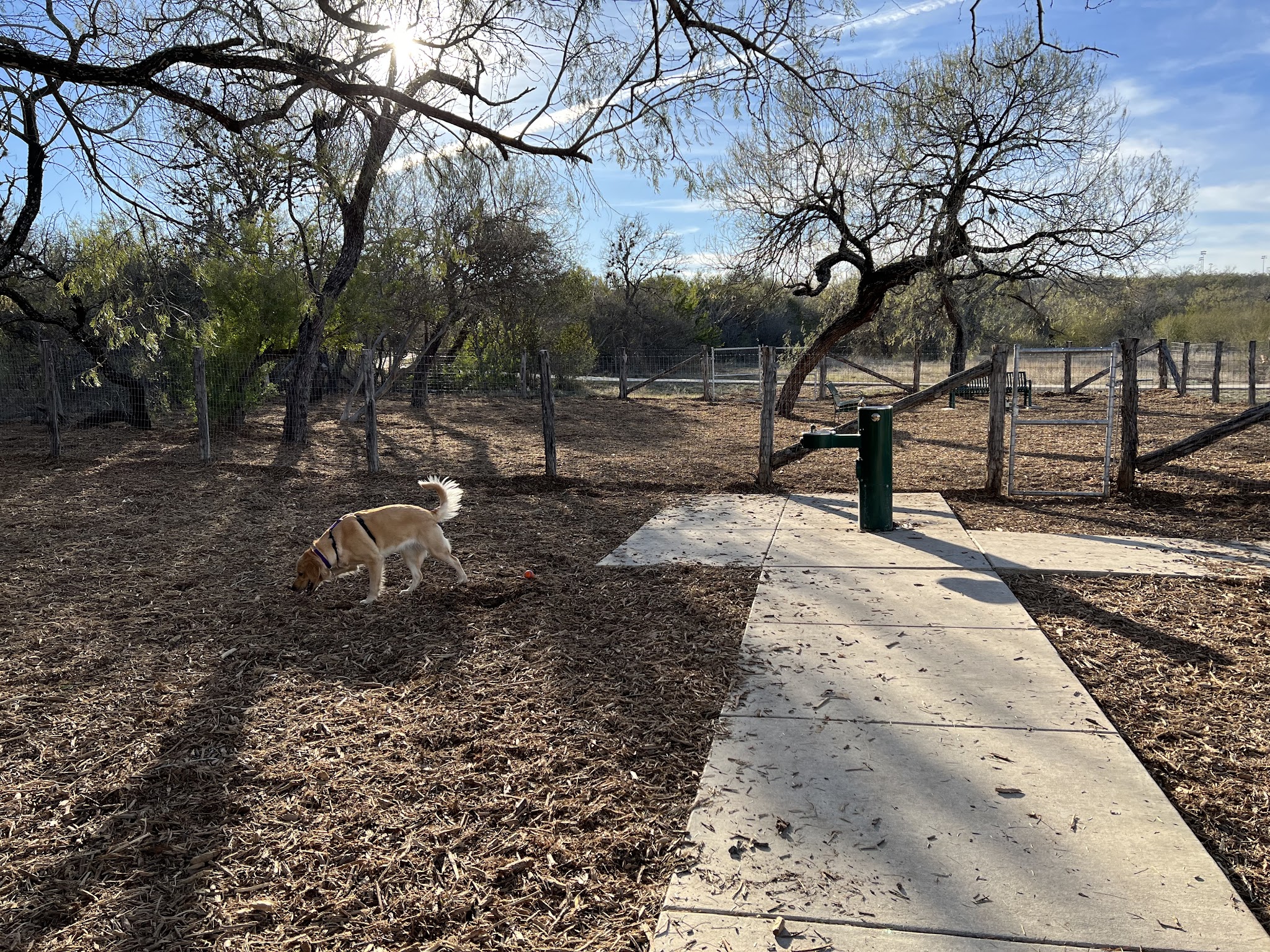 Southside Lions Dog Park - San Antonio, TX