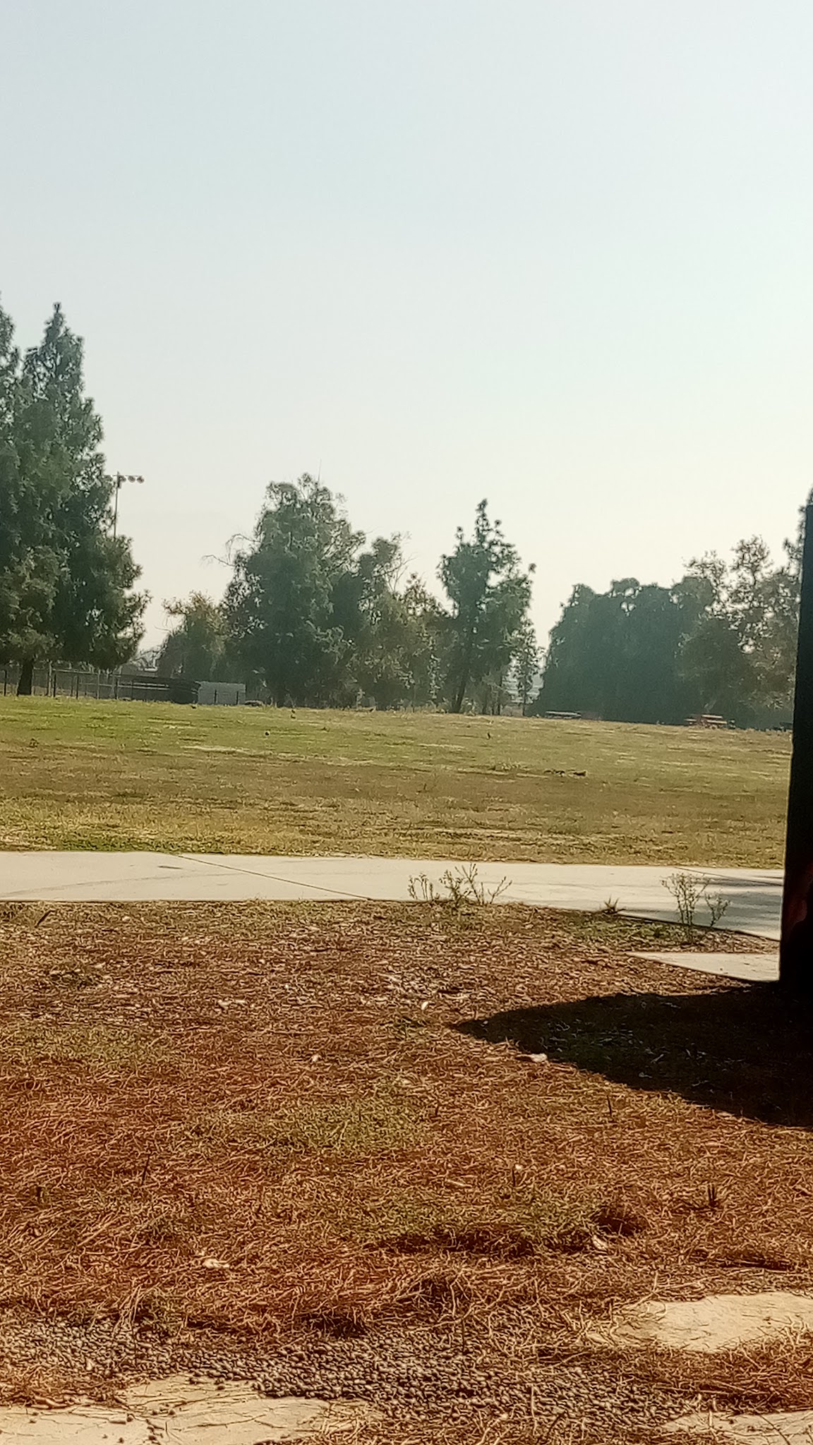 Dog Park at Seccombe Lake - San Bernardino, CA