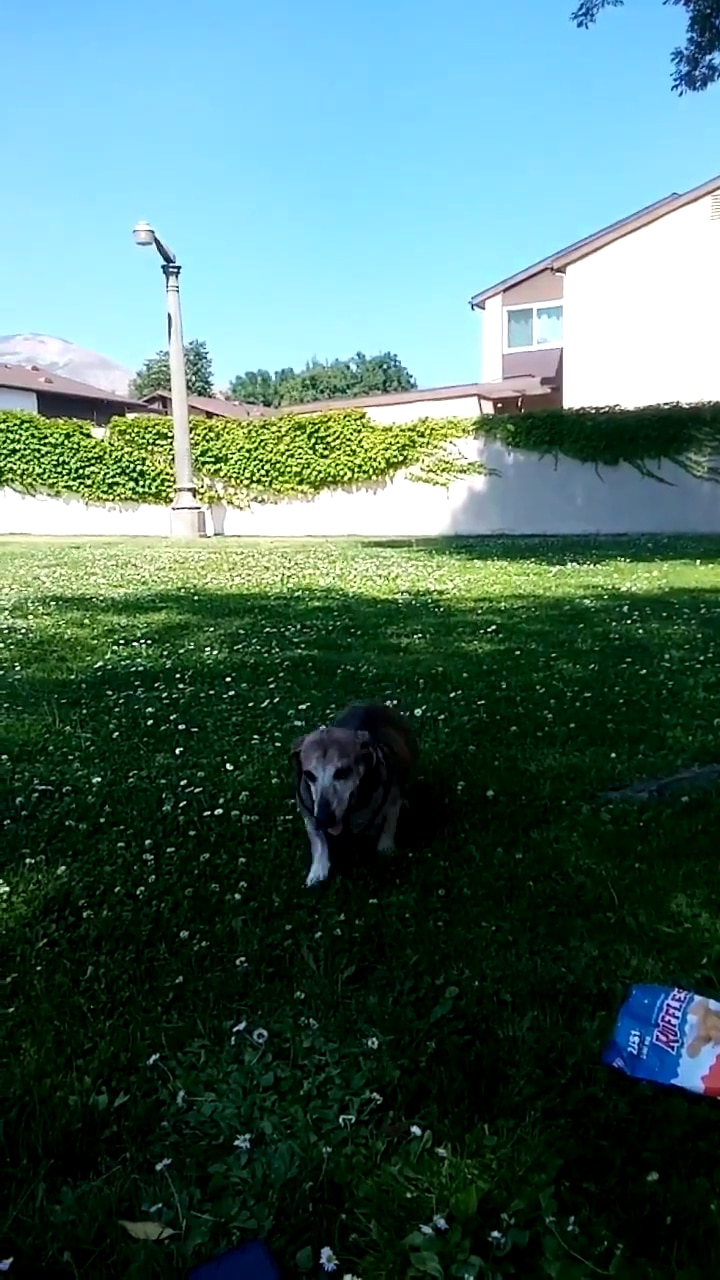 Sterling Park - San Bernardino, CA