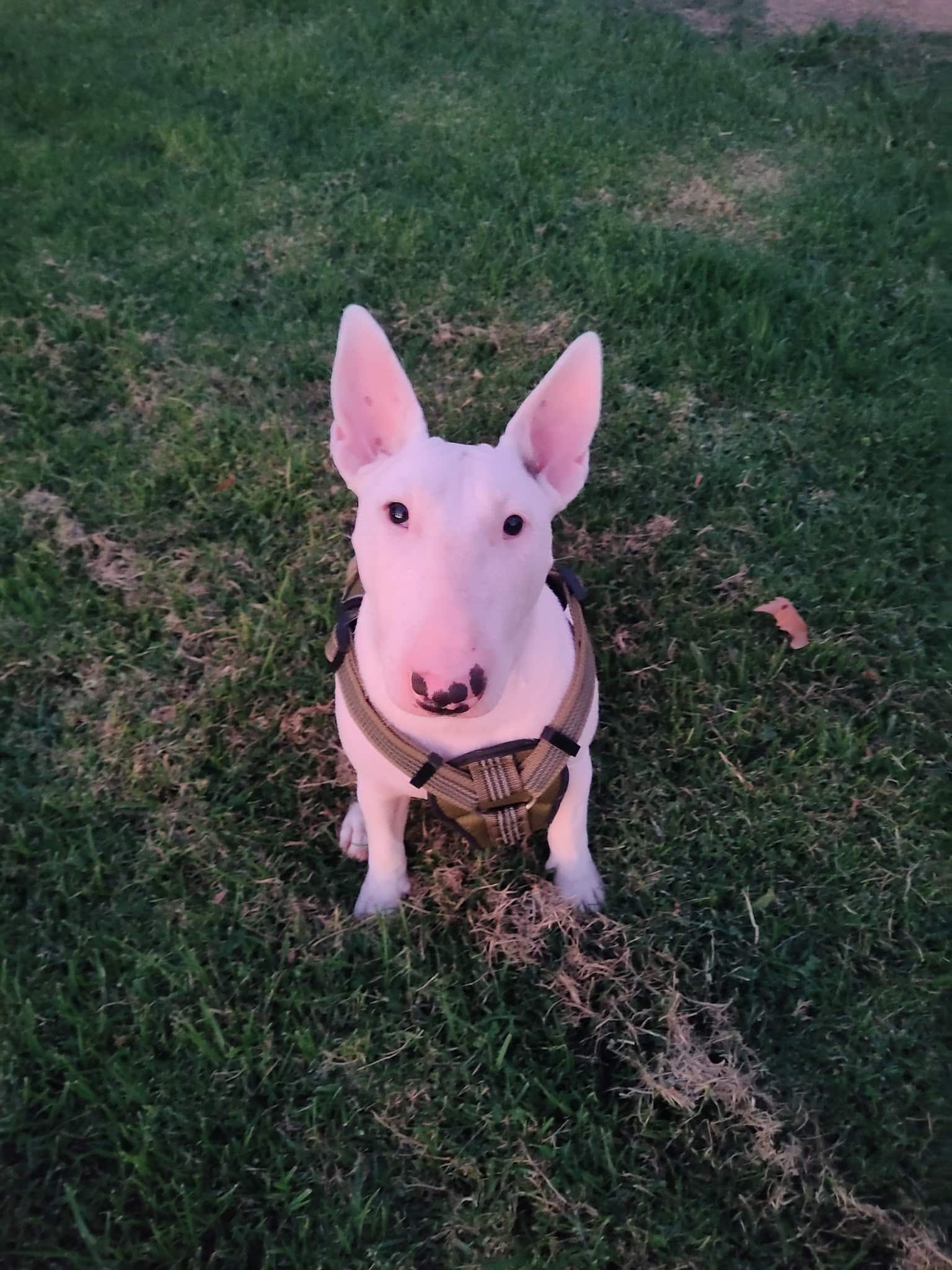 Sterling Park - San Bernardino, CA