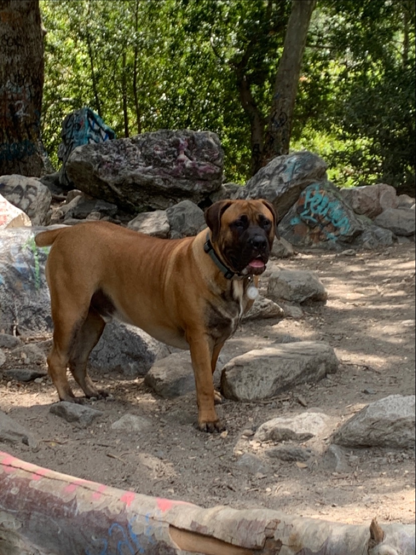 Sterling Park - San Bernardino, CA