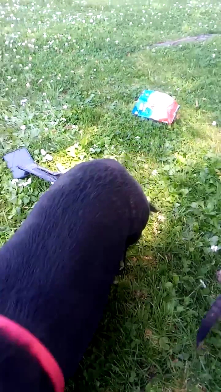 Sterling Park - San Bernardino, CA