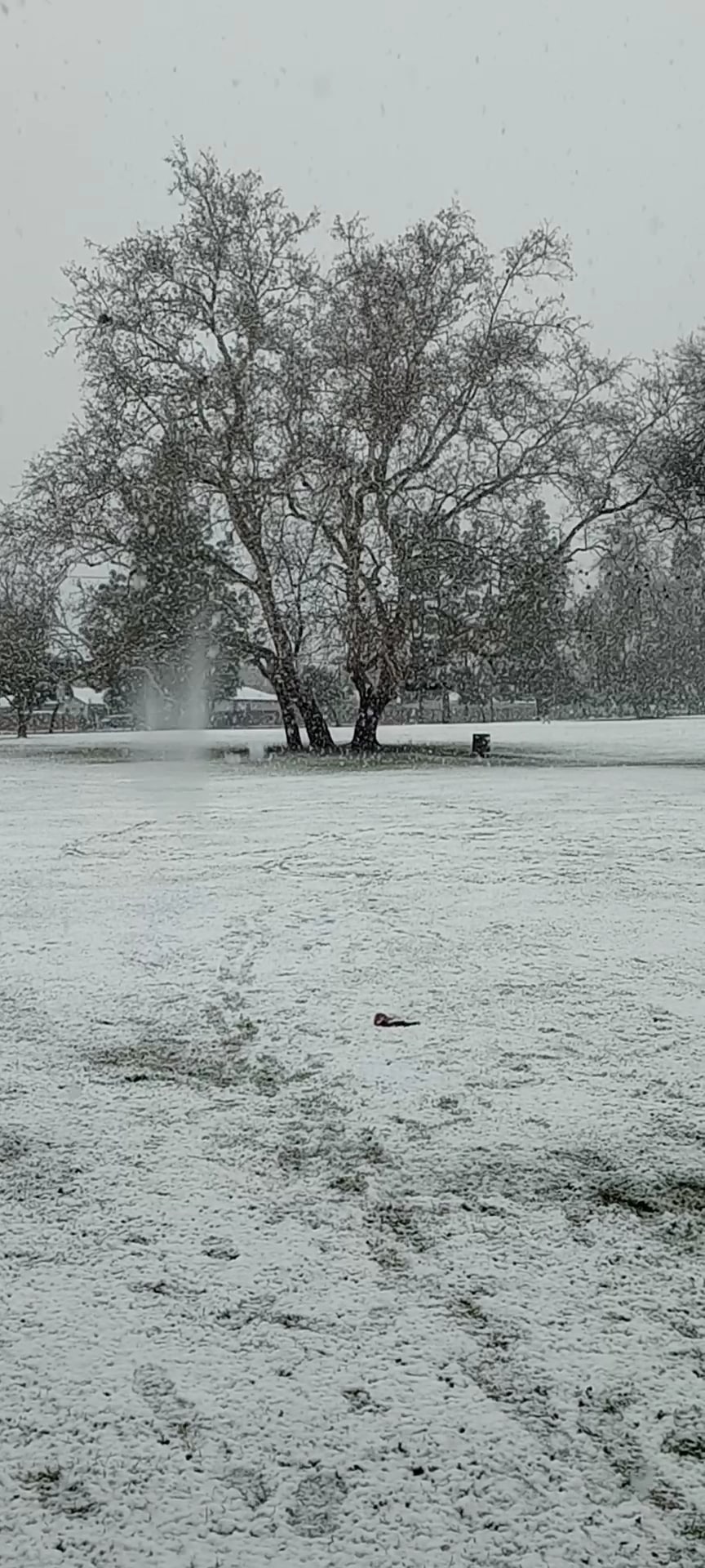 Wildwood Park - San Bernardino, CA