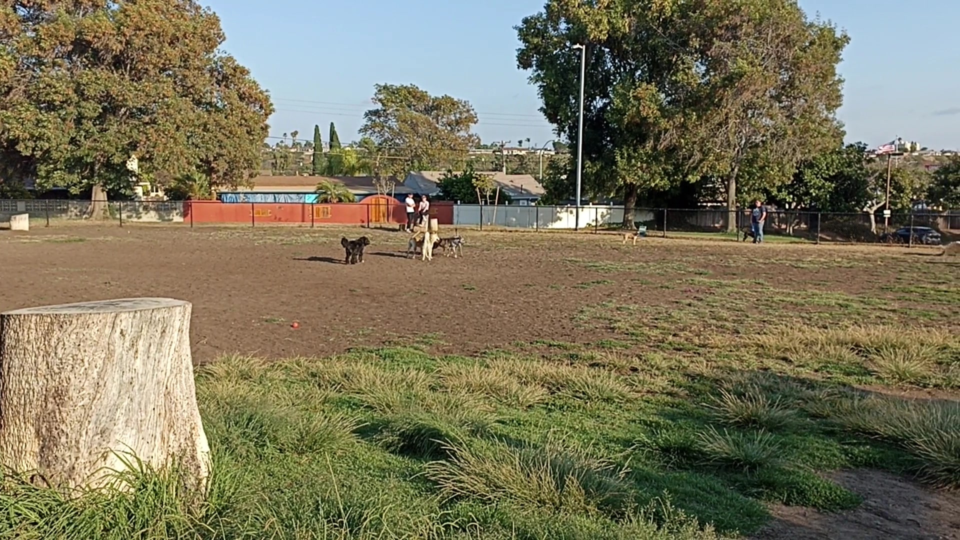 Allied Gardens Dog Park - San Diego, CA