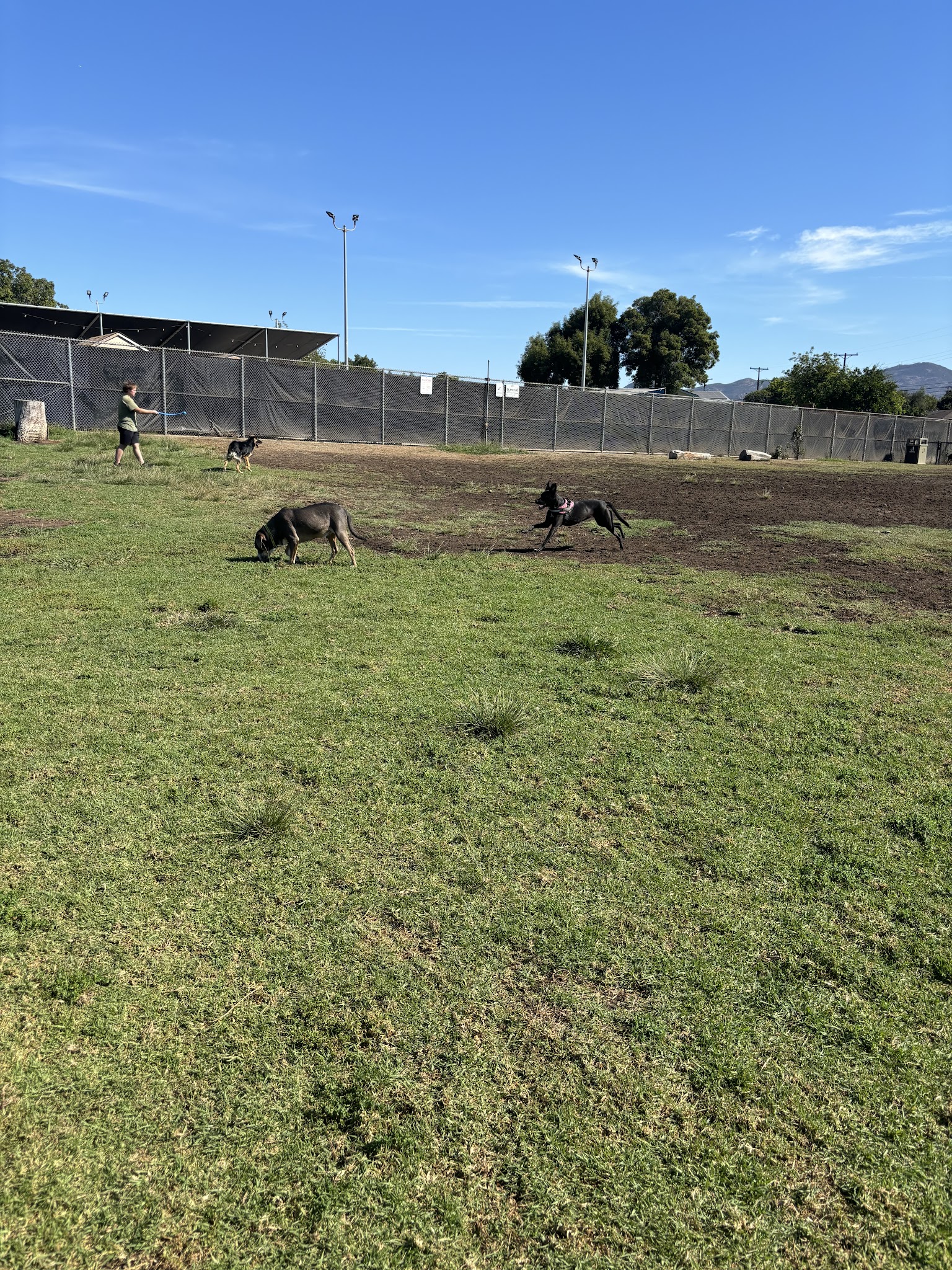 Allied Gardens Dog Park - San Diego, CA