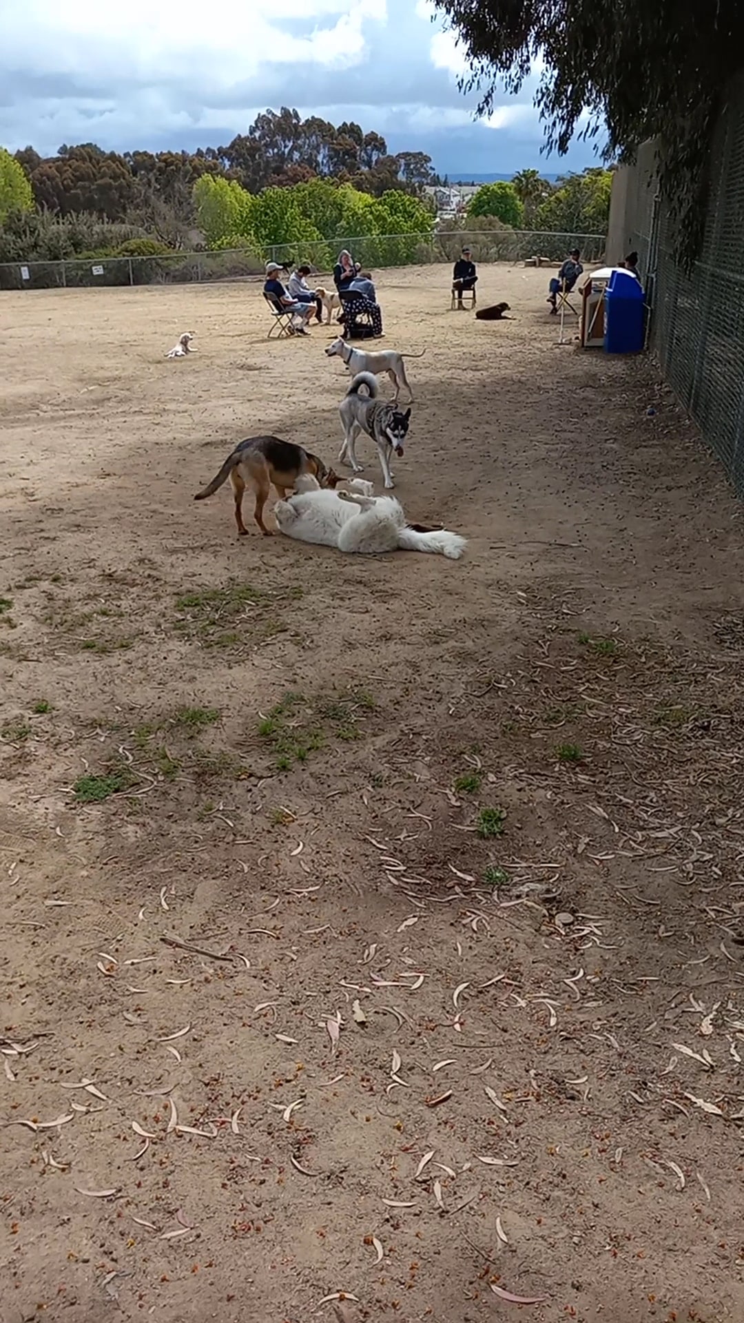 Doyle Dog Park - San Diego, CA