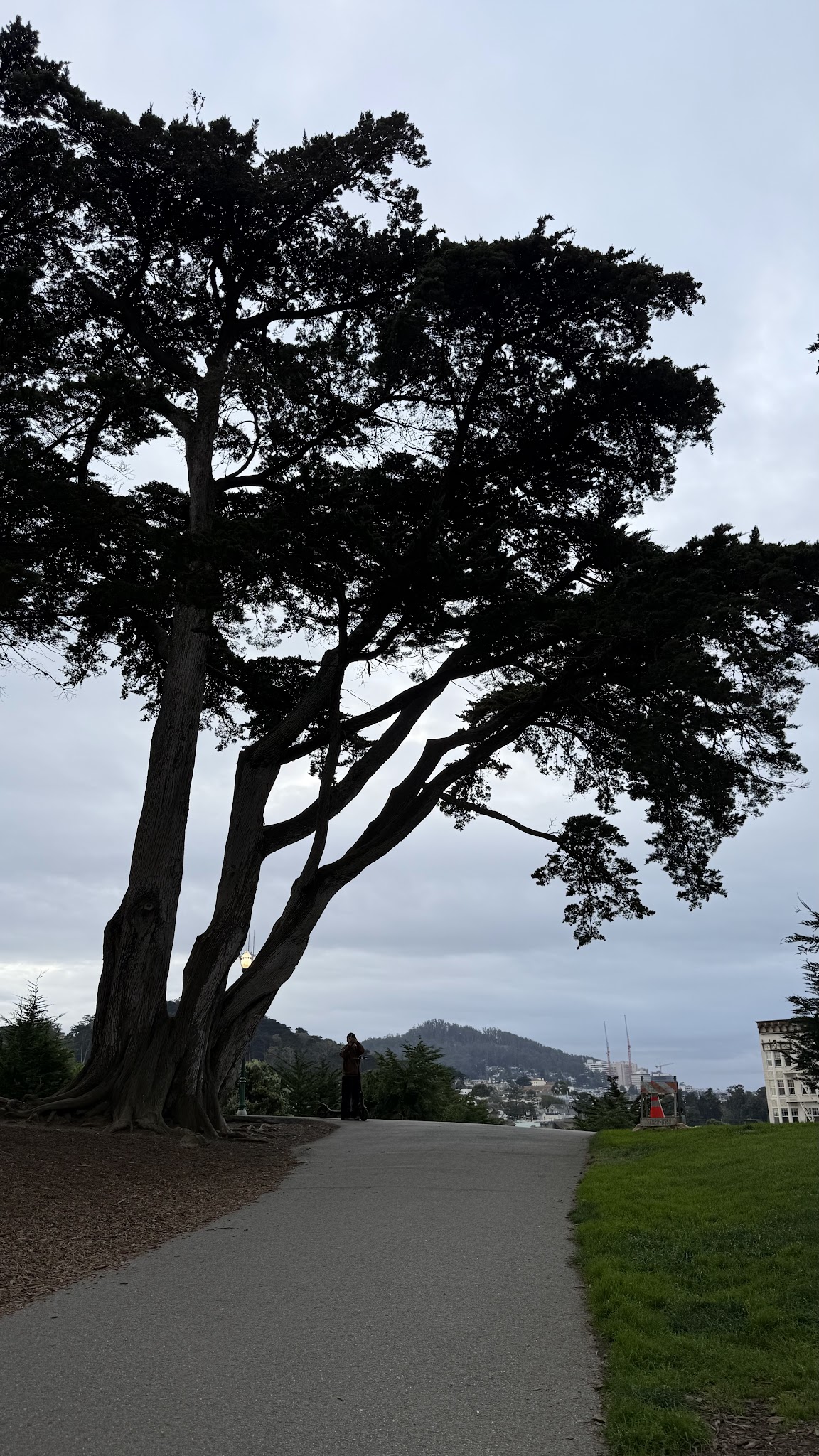 Alamo Square Dog Play Area - San Francisco, CA