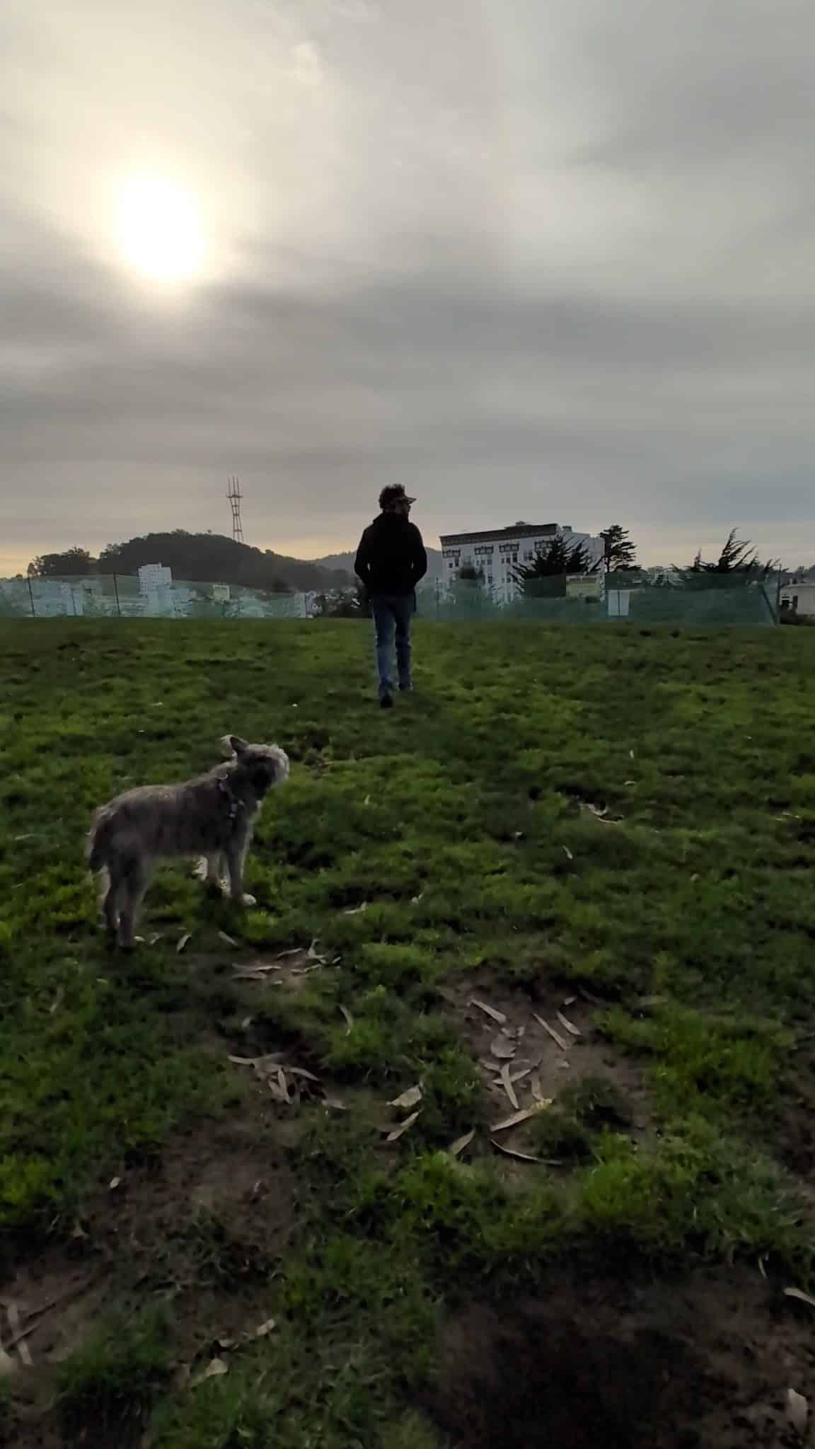 Alamo Square Dog Play Area - San Francisco, CA
