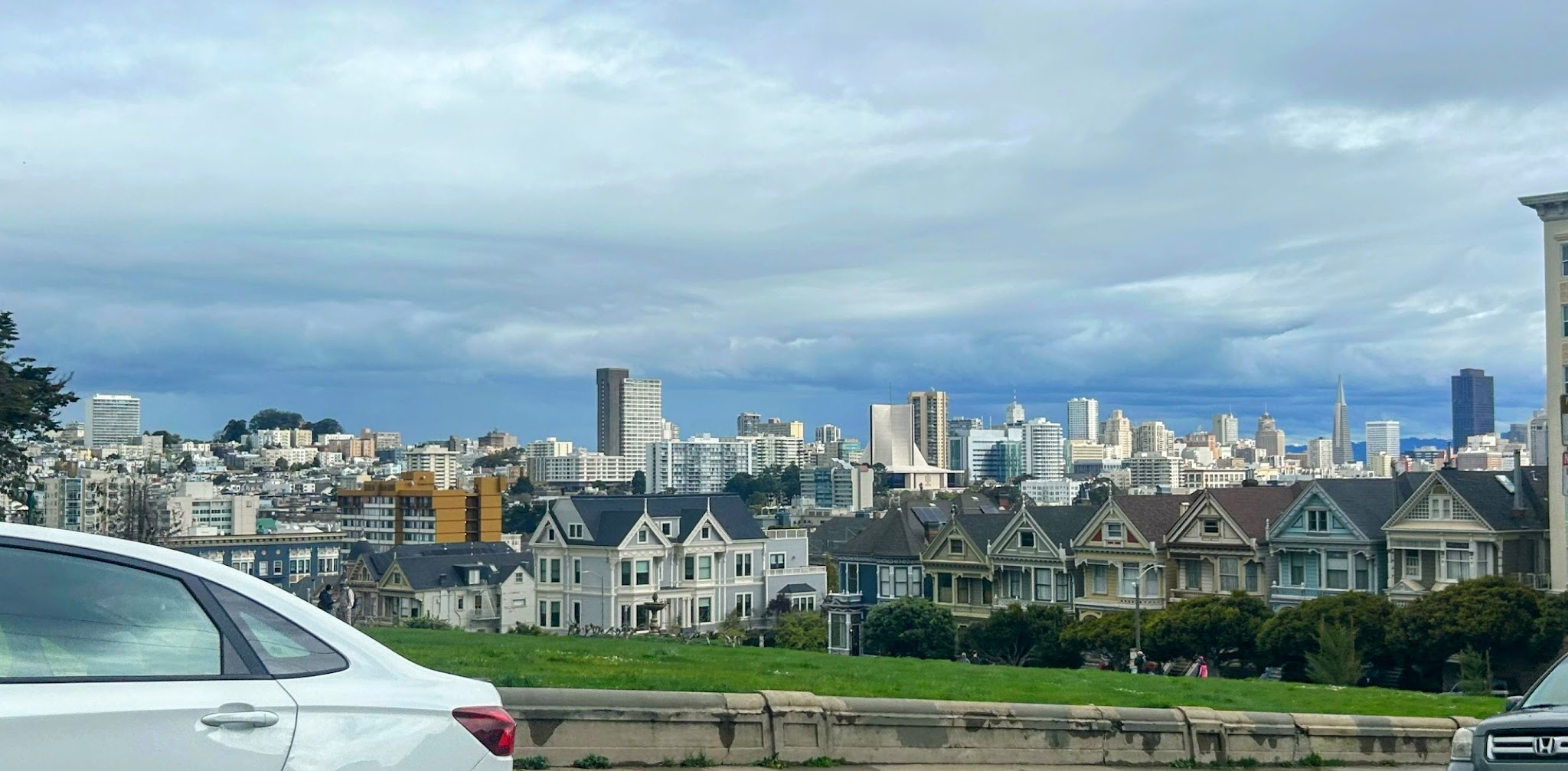 Alamo Square Dog Play Area - San Francisco, CA