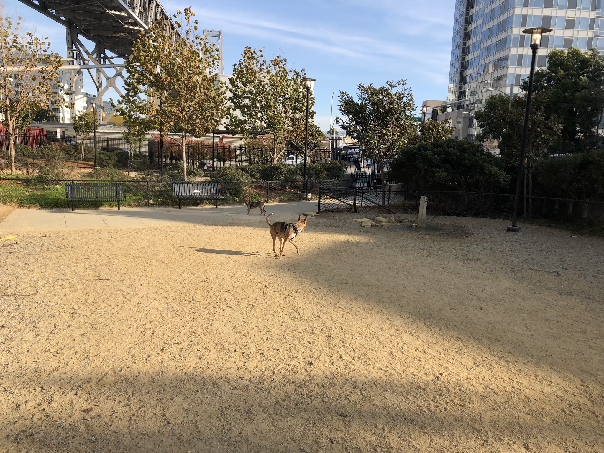 Rincon Hill Dog Park - San Francisco, CA