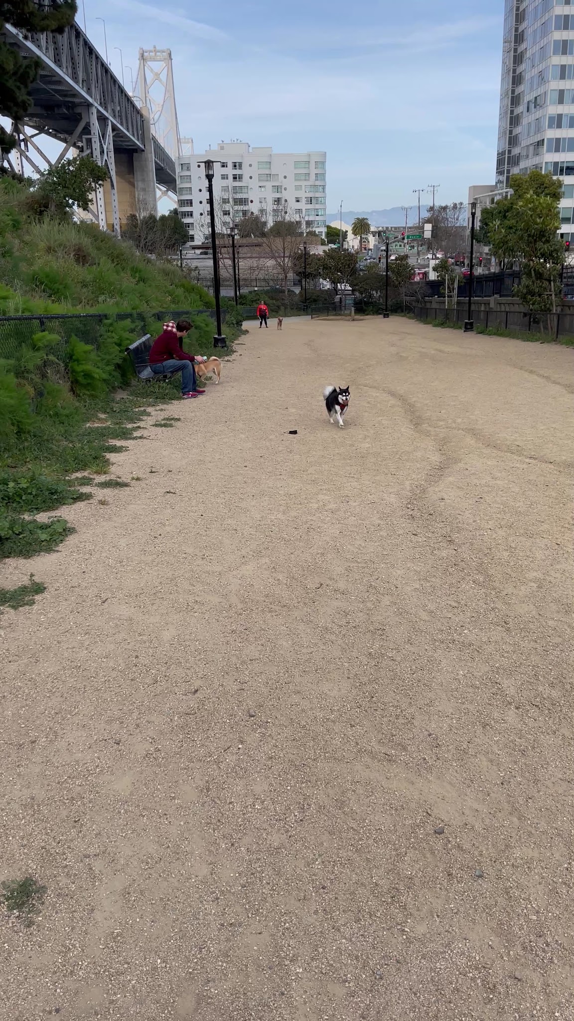 Rincon Hill Dog Park - San Francisco, CA