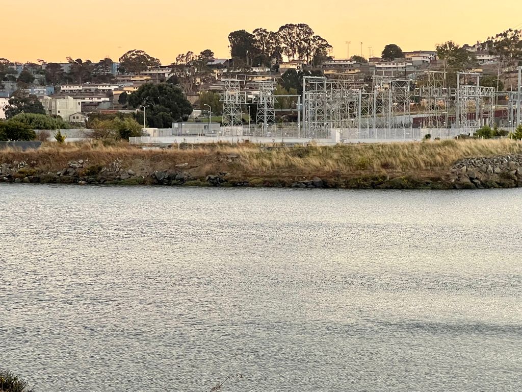 Butcher Town Dog Run - San Francisco, CA