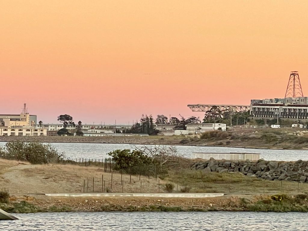 Butcher Town Dog Run - San Francisco, CA