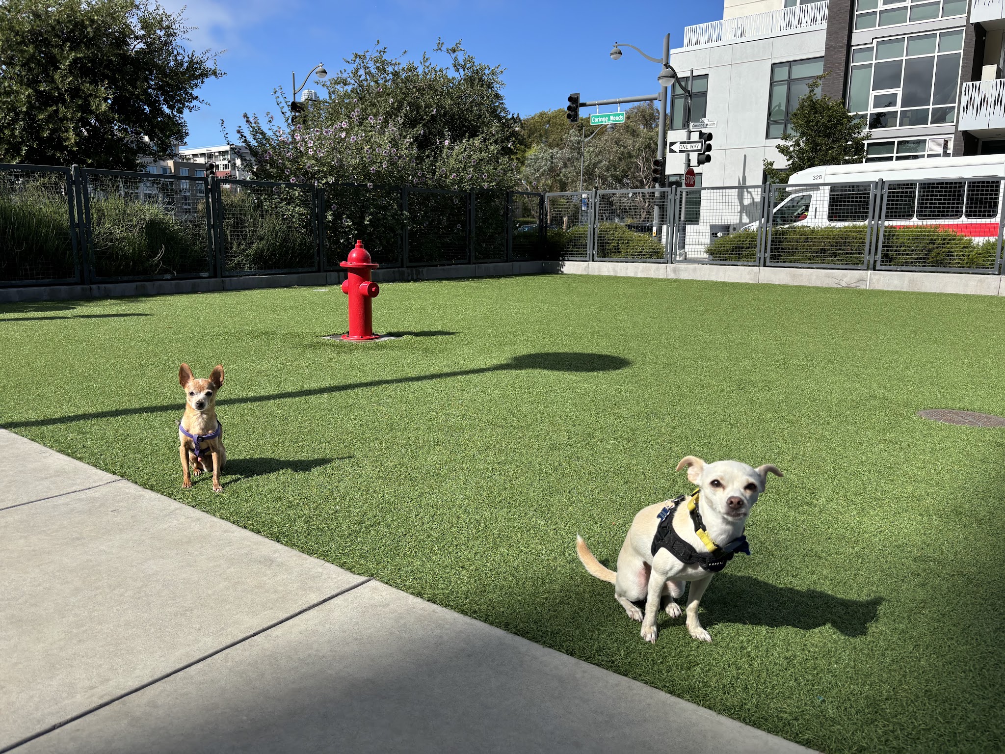 Channel Street Dog Park - San Francisco, CA