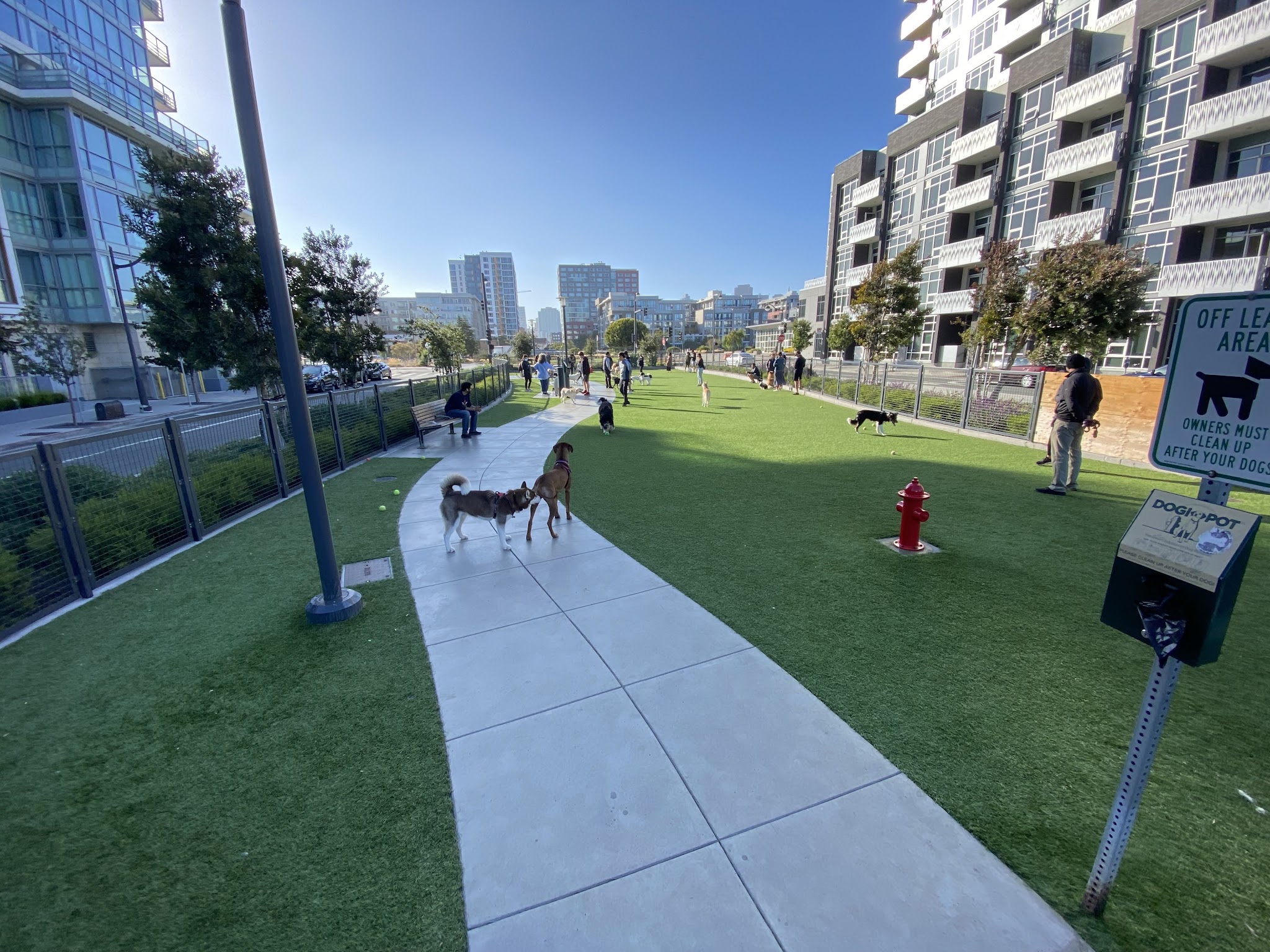 Channel Street Dog Park - San Francisco, CA