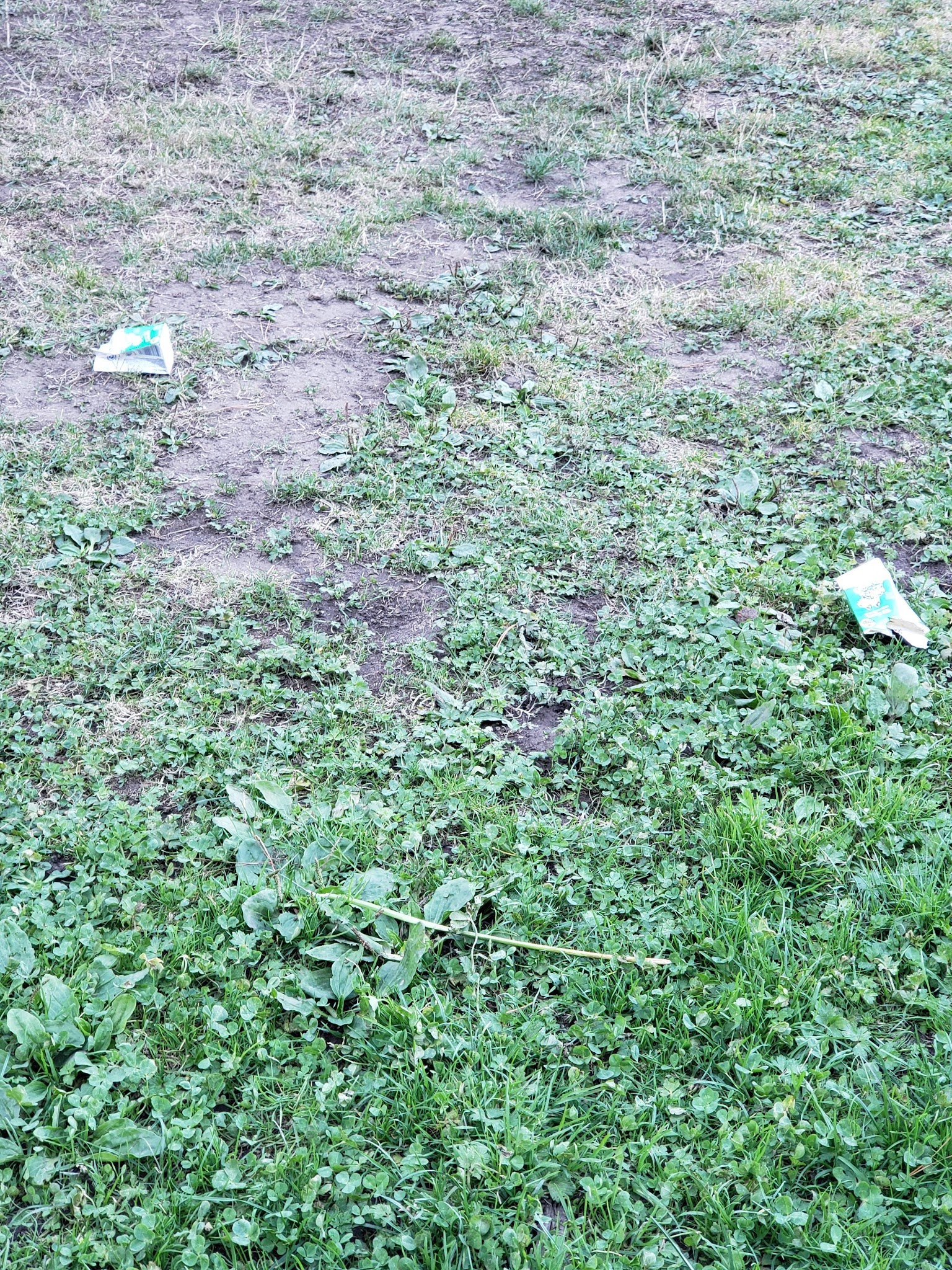 Douglass Playground Park - San Francisco, CA