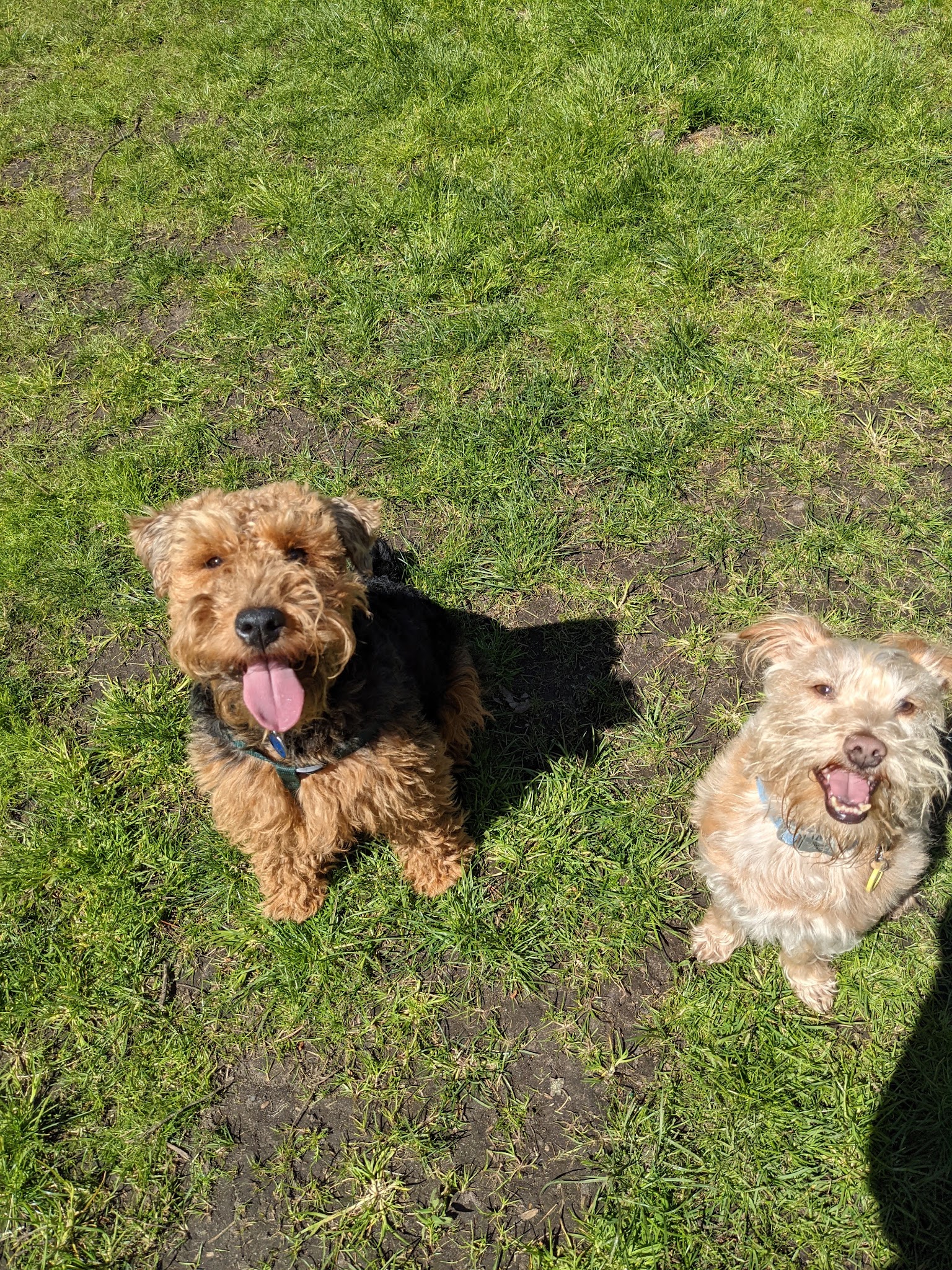 Douglass Playground Park - San Francisco, CA