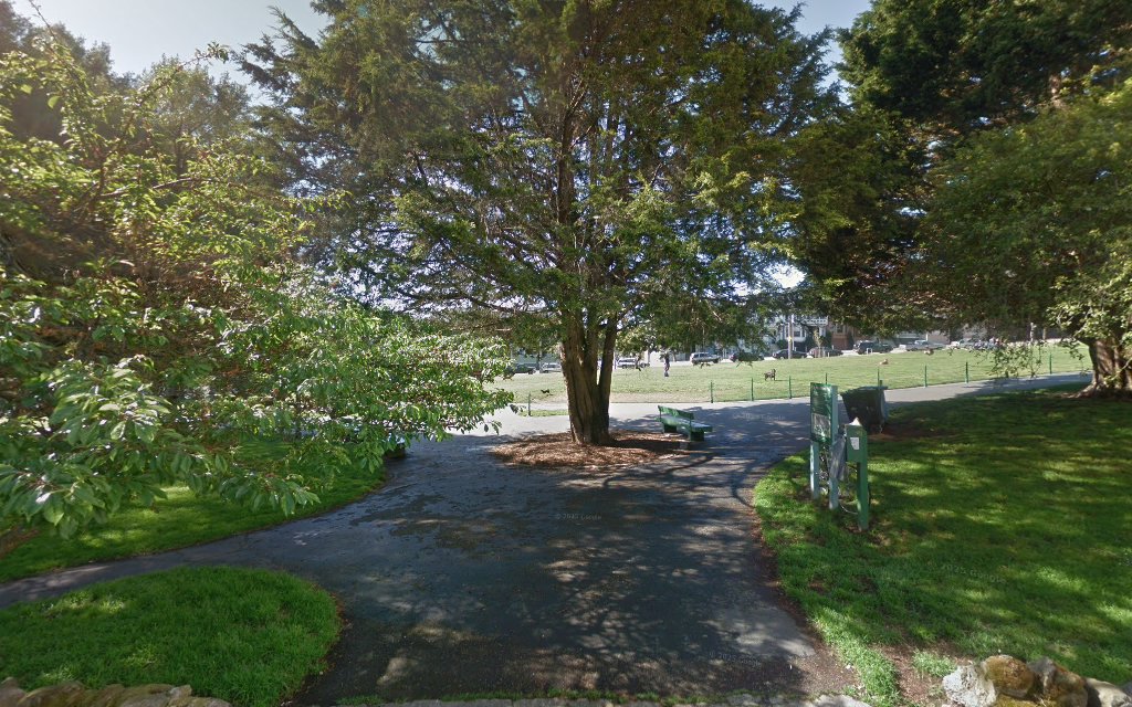 Duboce Park Dog Play Area - San Francisco, CA