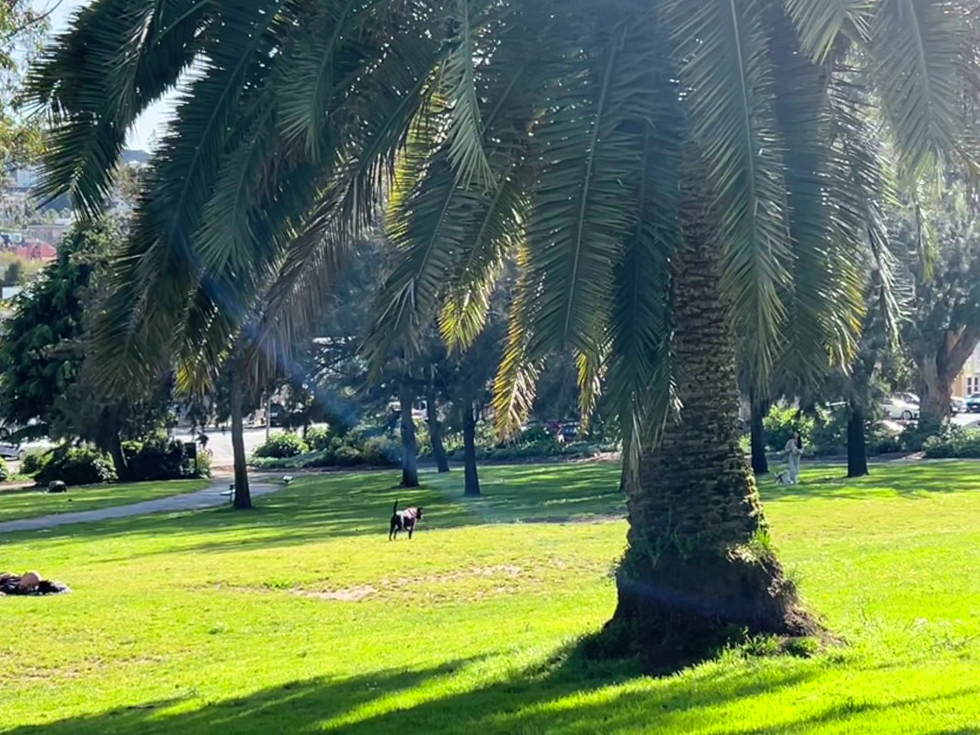 Jefferson Square Park - San Francisco, CA