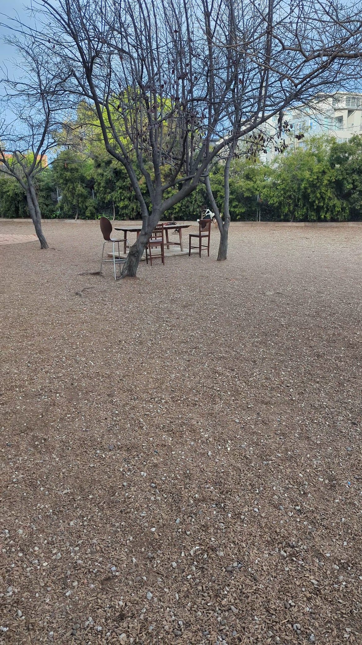 Progress Dog Run - San Francisco, CA