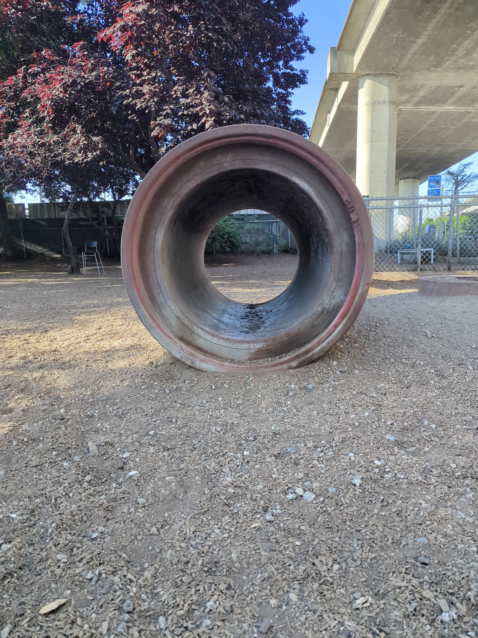 Progress Dog Run - San Francisco, CA