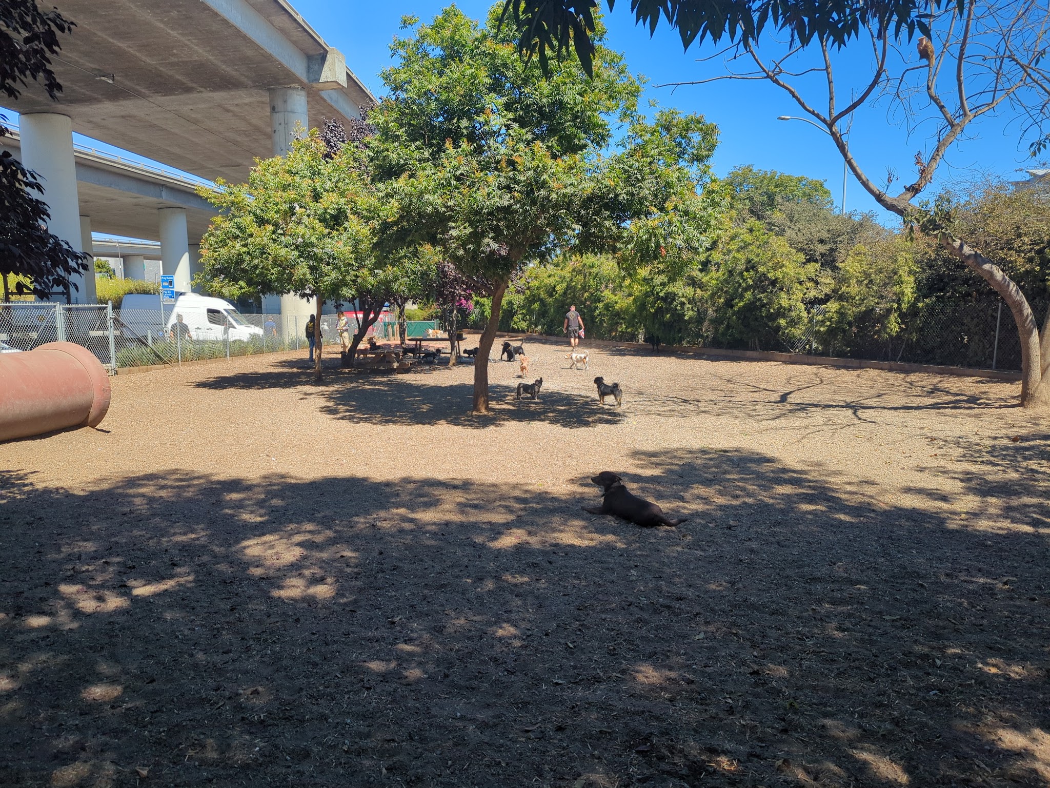 Progress Dog Run - San Francisco, CA