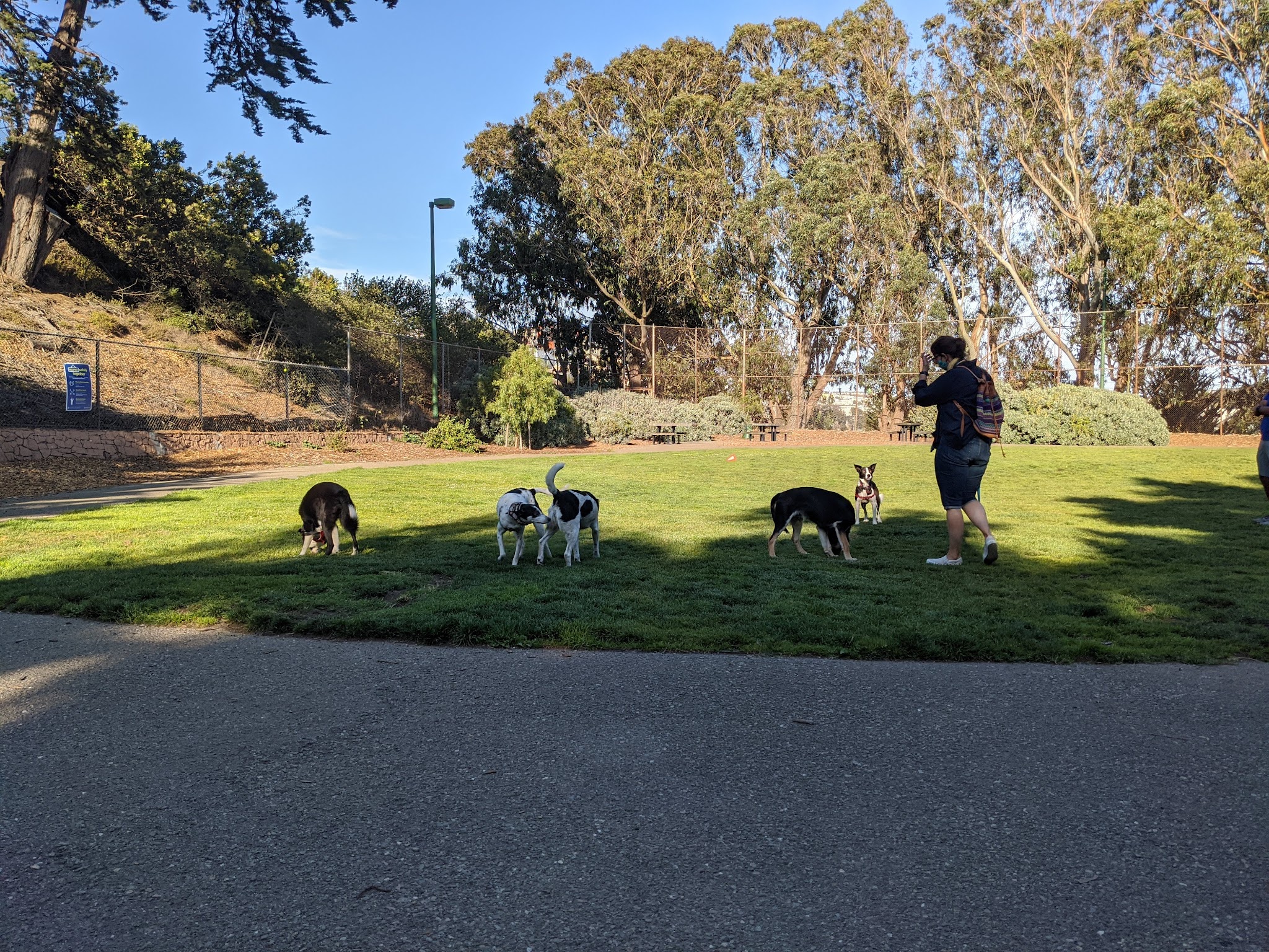 St. Mary's Dog Park - San Francisco, CA