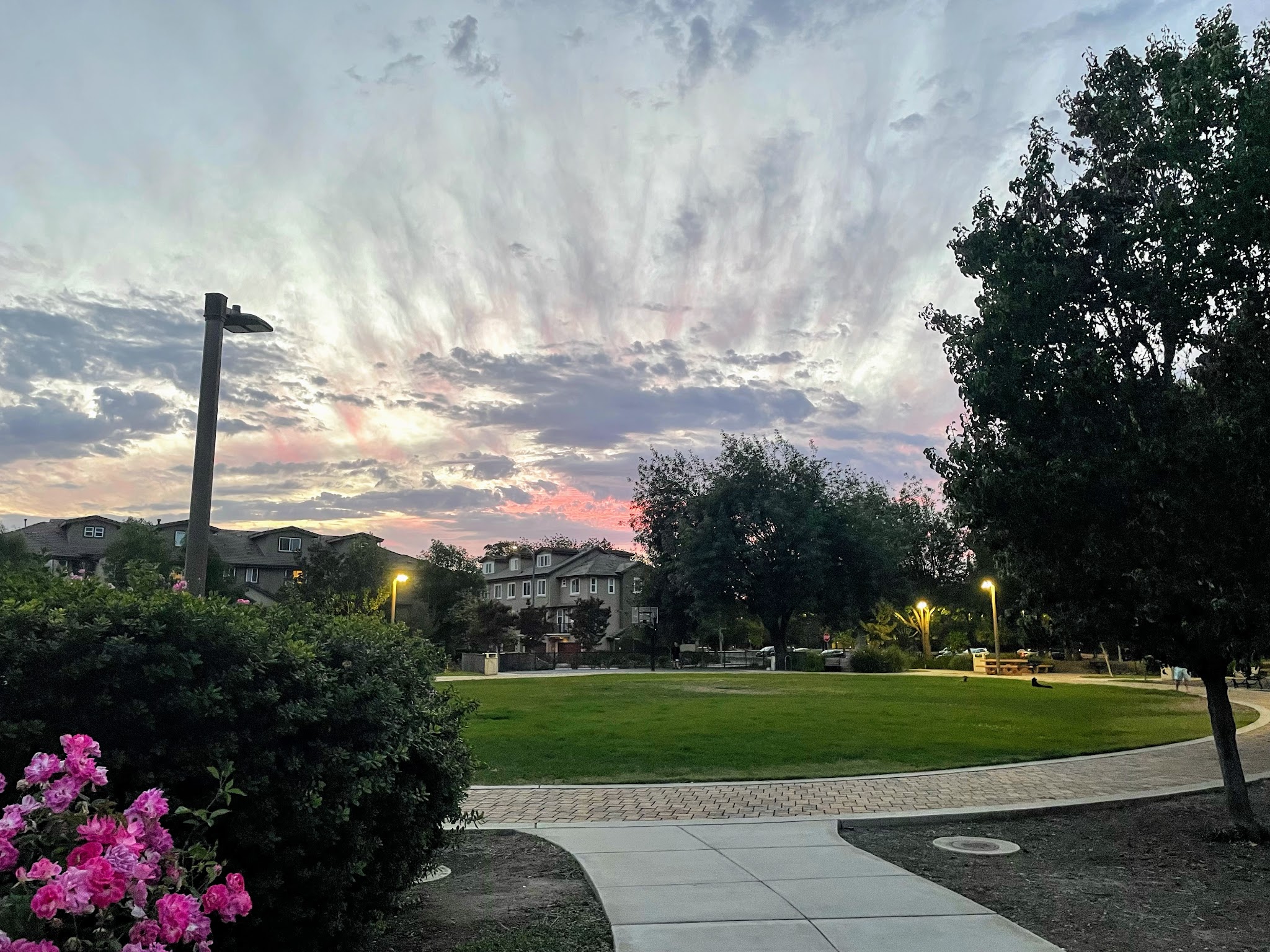 Gran Paradiso Park - San Jose, CA