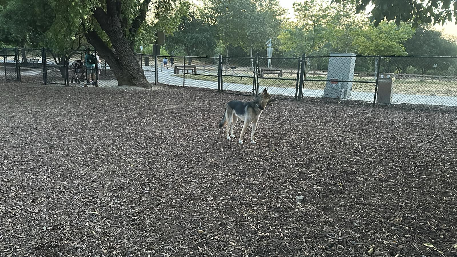 Olinder Dog Park - San Jose, CA