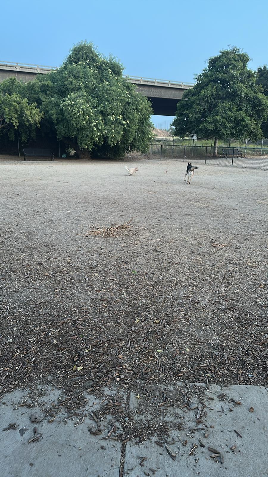 Olinder Dog Park - San Jose, CA