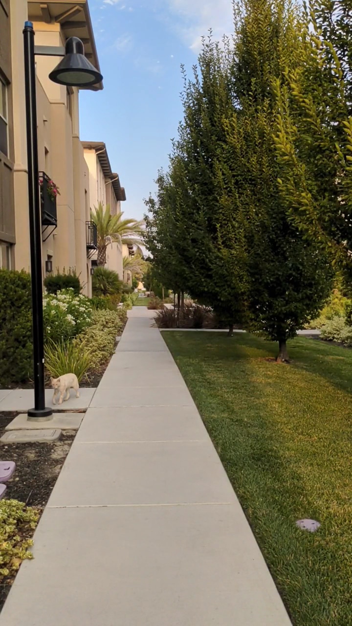 Orchard Park - San Jose, CA