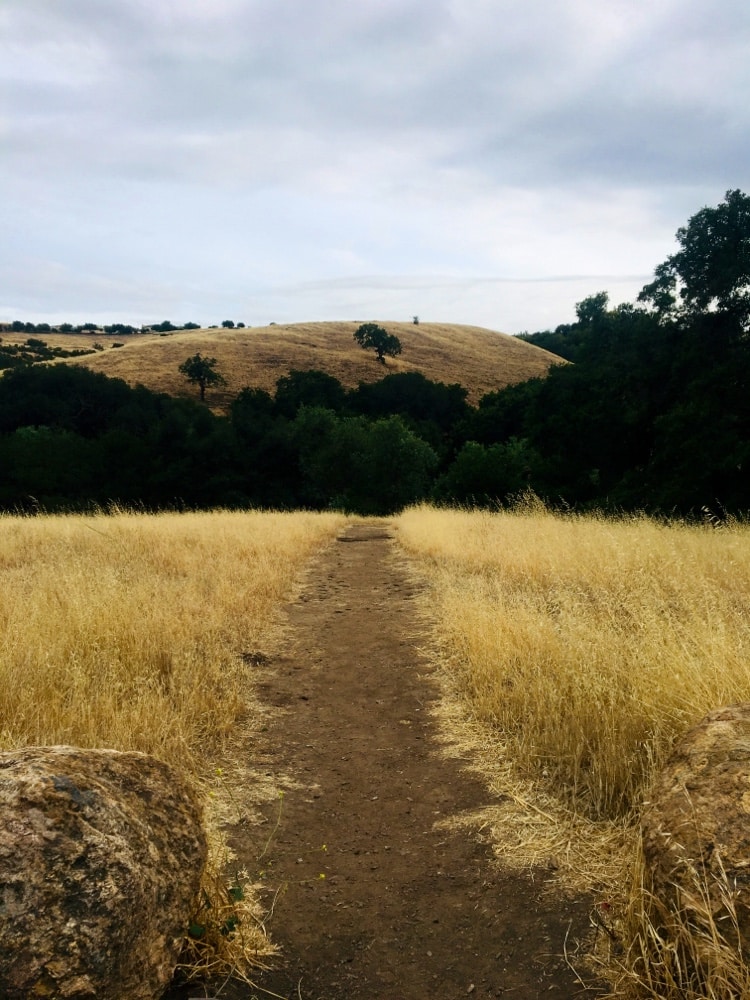 Silver Creek Linear Park - San Jose, CA