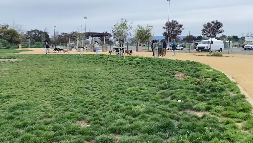 Watson Dog Park - San Jose, CA