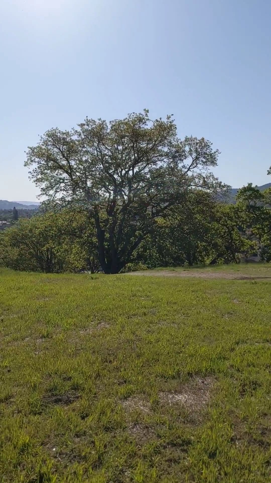 Almaden Meadows Park - San Jose, CA